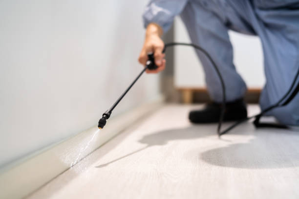 Professional exterminator conducting IPM assessment in Braddock